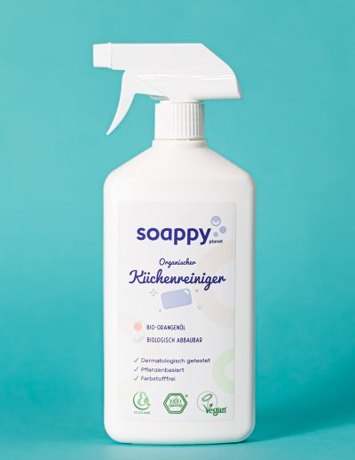 kuechenreiniger-2